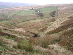 Countryside near Allendale, Northumberland