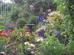 Allotment garden, Royal Hospital, Chelsea Wallpaper