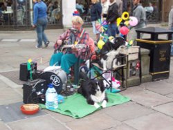 One man band in York