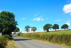 near Ponteland, northumberland. Wallpaper