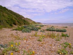 Dunwich, Suffolk
June 2006 Wallpaper