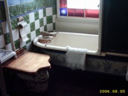 Victorian bathroom at Beamish Museum, Co Durham Wallpaper