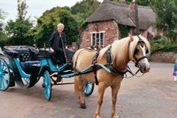 Horse Carriage in Cockington, Devon Wallpaper