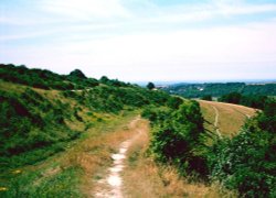 A picture of Cissbury Ring Wallpaper