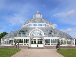 Palm House, Sefton Park, Liverpool Wallpaper