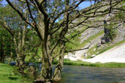 This photo was taking at Dove Dale near Stoke on trent Wallpaper