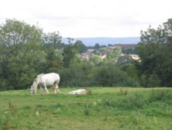 Cuckfield, West Sussex Wallpaper