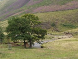 View in the High Peaks, Snake Pass, near Glossop. Wallpaper