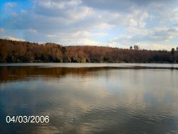 Campbells lake, long view, tilgate park, tilgate, crawley, west sussex Wallpaper