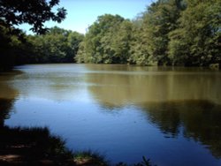 carters lodge lake just out side, handcross, west sussex. Wallpaper