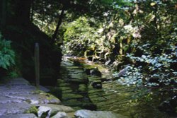 The walkway along towards the waterfall @ THORTERGILL FORCE, Thortergill in Weardale Wallpaper