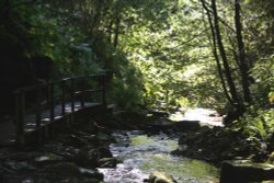 A view by the walkway towards the waterfall @ THORTERGILL FORCE, 
Thortergill in Weardale Wallpaper