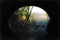 From inside disused railway tunnel in Plymbridge Woods, December 1996 Wallpaper
