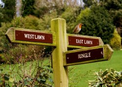 Where shall I go next. The lost Gardens of Heligan. Cornwall. April 2006