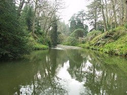 Bodnant Gardens, Tal-y-Cafn
Nr Colwyn Bay Wallpaper