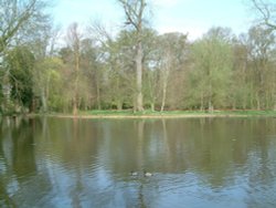 Lake in Bushey Park,
Near Hampton Court, London Wallpaper