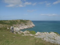 Berry Head. Brixham. Devon. Taken early September 2006 Wallpaper