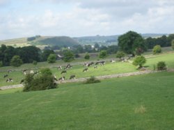 A view westward to fin cop near Great Longstone, Derbyshire. Wallpaper