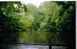 Thornton-le-Dale Duck pond Wallpaper