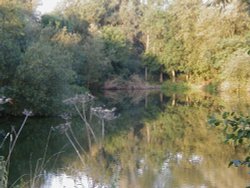 Kingsbury water park in the morning Wallpaper