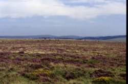 LANDSCAPES IN BODMIN MOOR Wallpaper