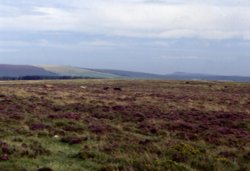 LANDSCAPES IN BODMIN MOOR Wallpaper