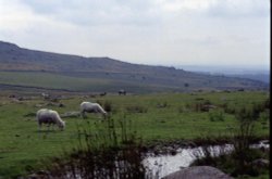 LANDSCAPES IN BODMIN MOOR Wallpaper