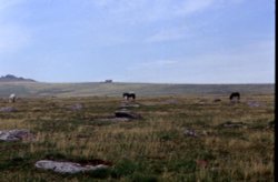 LANDSCAPES IN BODMIN MOOR, CORNWALL Wallpaper