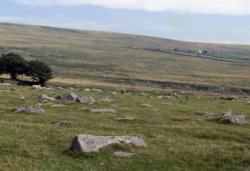 LANDSCAPES IN BODMIN MOOR Wallpaper