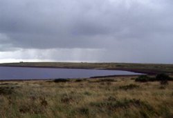 Bodmin Moor Wallpaper