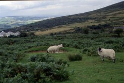 images of Dartmoor, Devon Wallpaper