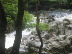 River Conwy, Betws-y-coed, Conwy Wallpaper