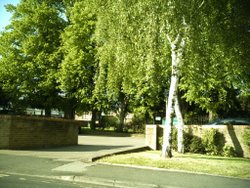 top car park regent street, Beeston, Nottinghamshire Wallpaper