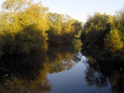 River Avon at Pewsham, Chippenham, Wiltshire Wallpaper