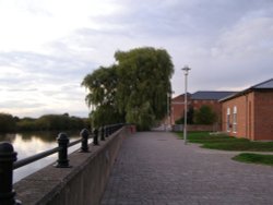 Tree on riverside Walk in Gainsborough, Lincolnshire Wallpaper