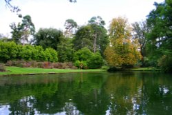 Exbury gardens, Exbury, Hampshire Wallpaper