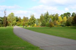 Exbury gardens, Exbury, Hampshire Wallpaper