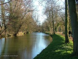 The River Cherwell, Oxford's 'other' river, in Christchurch Meadows, Jan 2005 Wallpaper