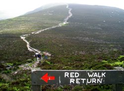 A picture of Northumberland National Park Wallpaper