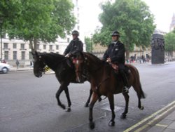 London, British Police Wallpaper