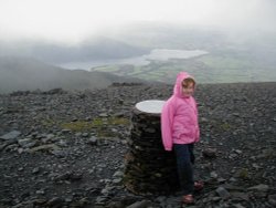 Monkey on Skiddaw Summit!!!!! Lake district. Wallpaper