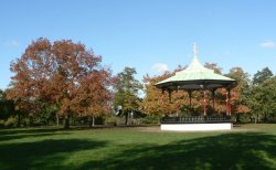 Autumn colours at Greenwich Park Wallpaper