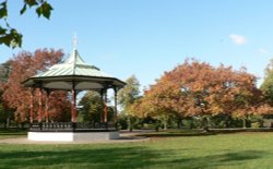 Autumn colours at Greenwich Park, London Wallpaper