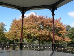 Autumn colours at Greenwich Park Wallpaper