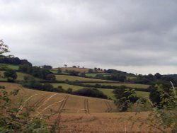 Rolling Hills around Butterleigh, Devon Wallpaper