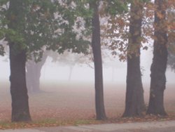 Foggy Barham Park, Wembley Wallpaper