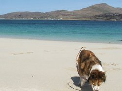 Mt Heaval from Vatersay