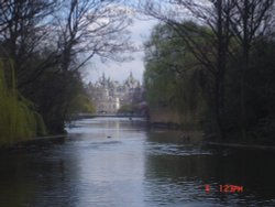 View behind Buckingham Palace, London Wallpaper