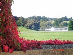 Blenheim Palace grounds Wallpaper