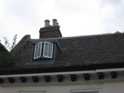 Pigeon and rooftop, Buckingham Wallpaper